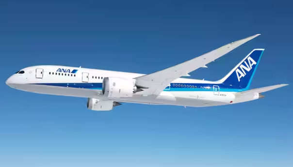 ANA vs JAL Major Airlines in Japan 2 Pasted 3