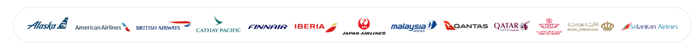 ANA vs JAL Major Airlines in Japan 9 Pasted 6