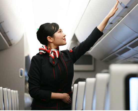 ANA vs JAL Major Airlines in Japan 6 Pasted 7