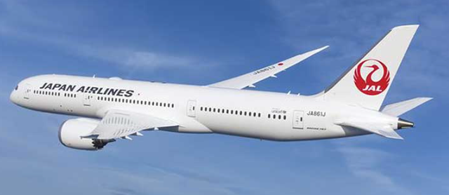 ANA vs JAL Major Airlines in Japan 5 Pasted 8